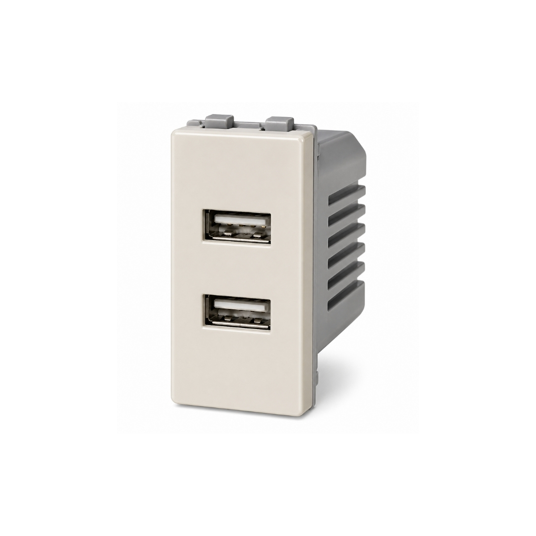 Beige USB Charger 2 Gang QVQ