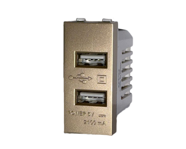 Dual USB CHARGER Type A- Color Gold