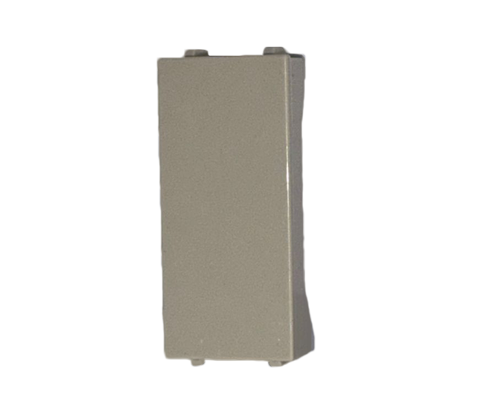 Ivory Plastic Blank QVQ