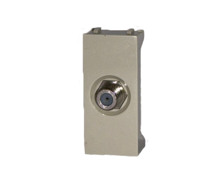 Ivory Satellite Socket QVQ