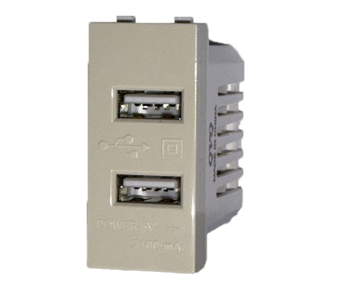 Ivory USB Charger 2 Gang QVQ