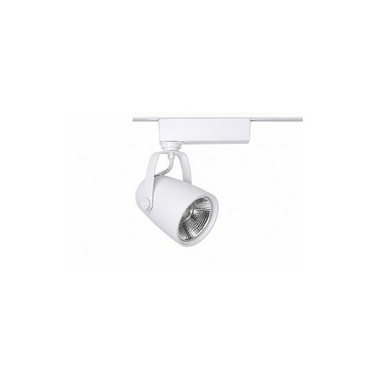 Warm white Spot Truk white Led 30 watt vetro 24413