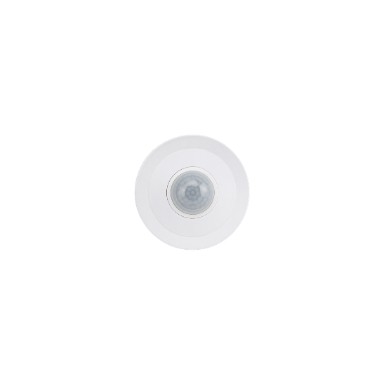 Motion Detector small Roof (TP1050B) 131132