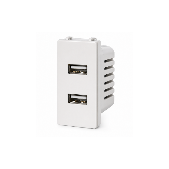 White USB Charger 2 Gang QVQ