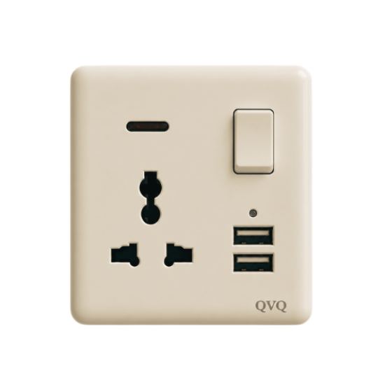 16A 2 Gang Switched Socket W/2USB Charger W/Neon QVQ